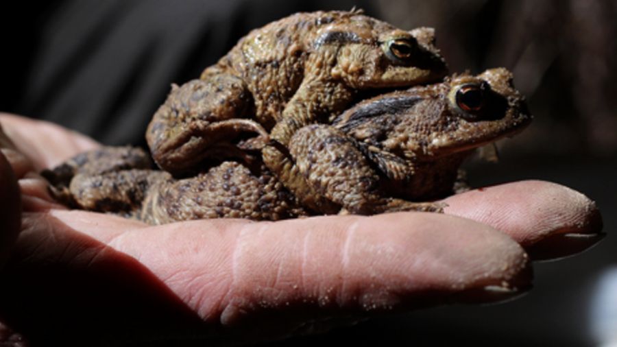 9e9ccdc5602193c53591e0f83336542c