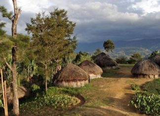 Как спасают жизнь в экстремальных условиях — истории врачей