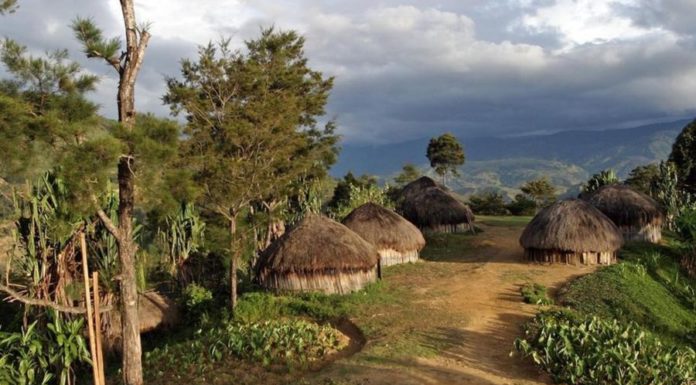 Как спасают жизнь в экстремальных условиях — истории врачей