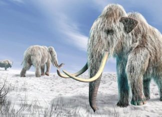 Зоопарк с клонированным мамонтом и динозавром? Почему бы и нет!