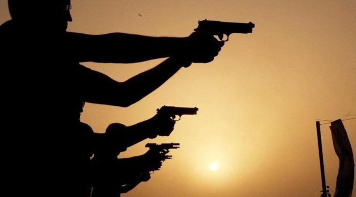 Каким будет мир, если исчезнет вся огнестрельное оружие