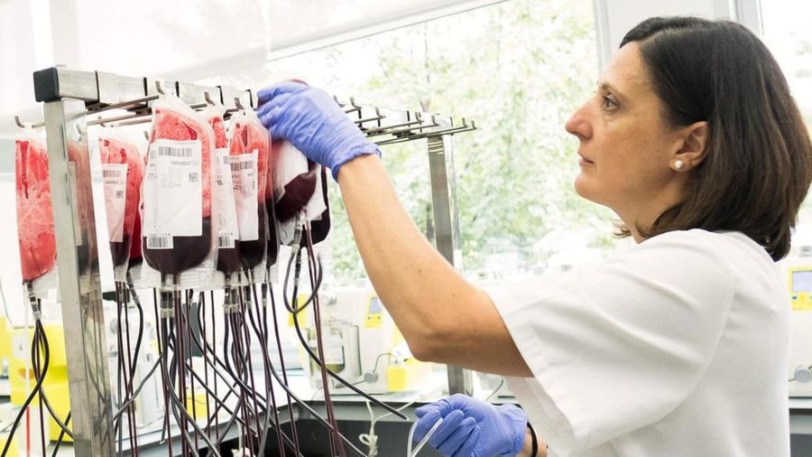 3b597f688b7ce9843ebb6e0930361c32