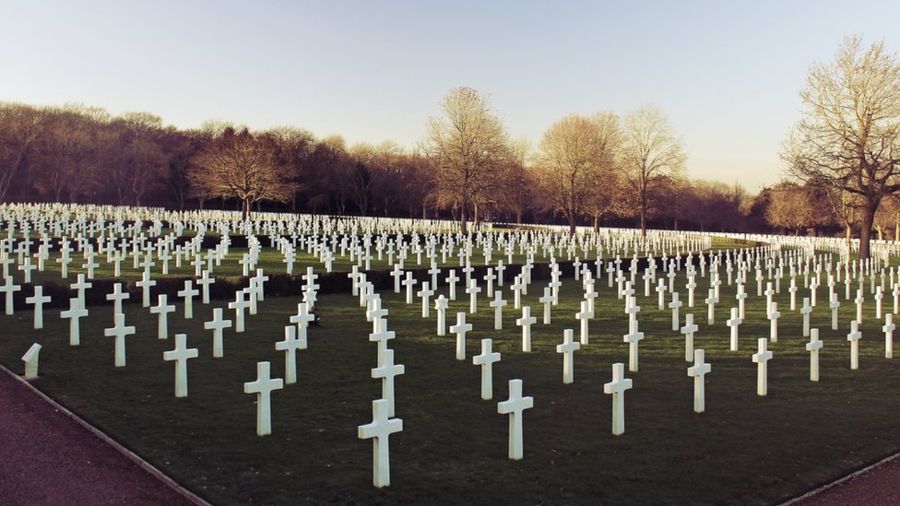 8f5e2c7280e225d1743540c668bca8cb