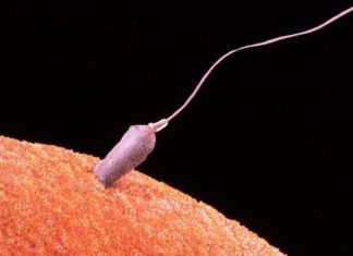 «Хочу ребенка только от него». Этично ли использовать сперму умершего