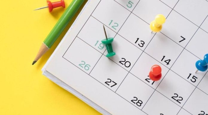 Как менструальный цикл влияет на умственные способности женщины