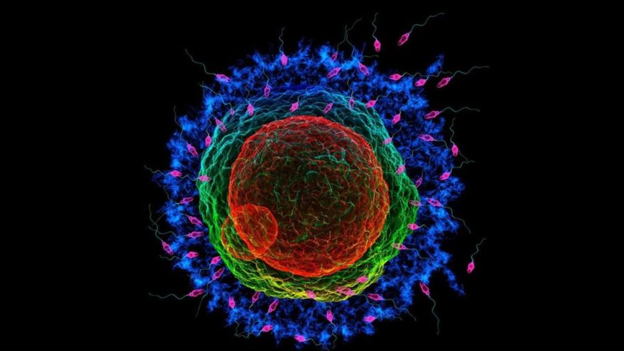 56f0a093954eba35b73bd68fe6a88356