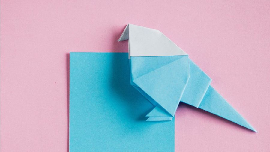 a38c587bb04a4e547eb2e4809d150e3a