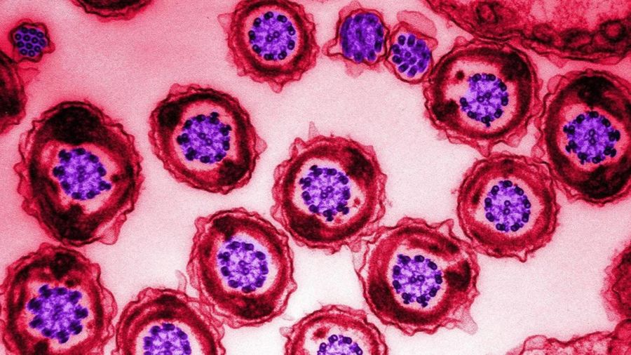 ce6242067881e8a7a98ba08df6a8e84d