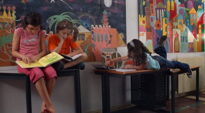 На оценки в школе влияют в первую очередь гены, а не интеллект