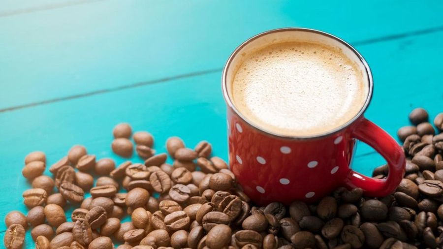 04c21fad92b4fbb6c78cf021bfcb64ae