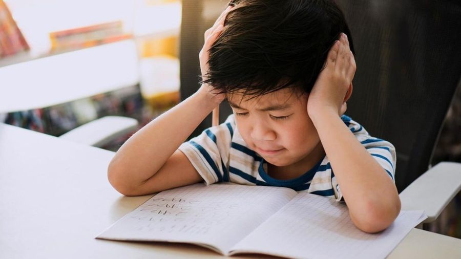 202ec8bd6eff24b99bfc927319ee5f07