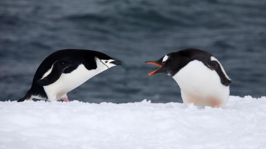 47473f93ab6fd99e58048480b23043c5