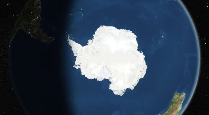 Кому принадлежит Антарктида? Это могут решить кости людей