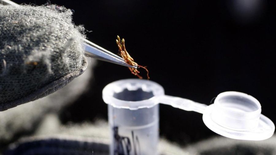 6957beeea5bcadabdef43da9898ced24