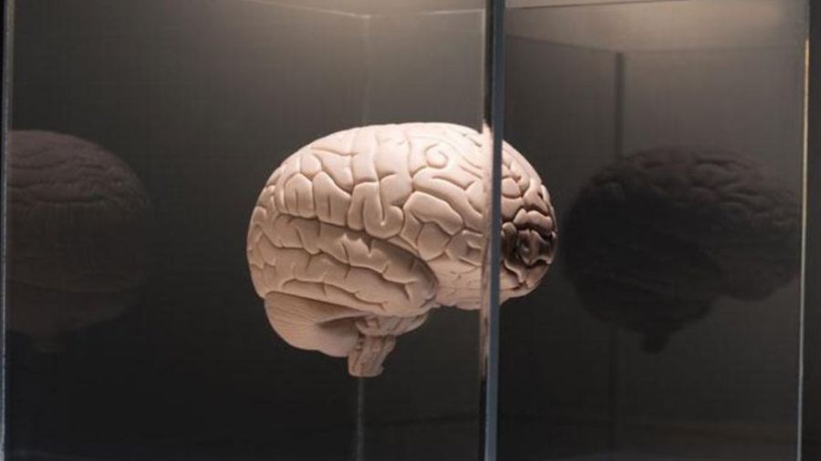 f2c8670ddfe8523a32834cf7ad30f87b