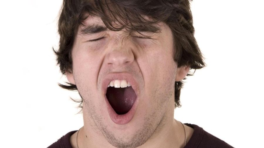 Научная загадка всех времен: почему мы зеваем 6 71b99fb63f338bfc0eeb4b89909ed1bc