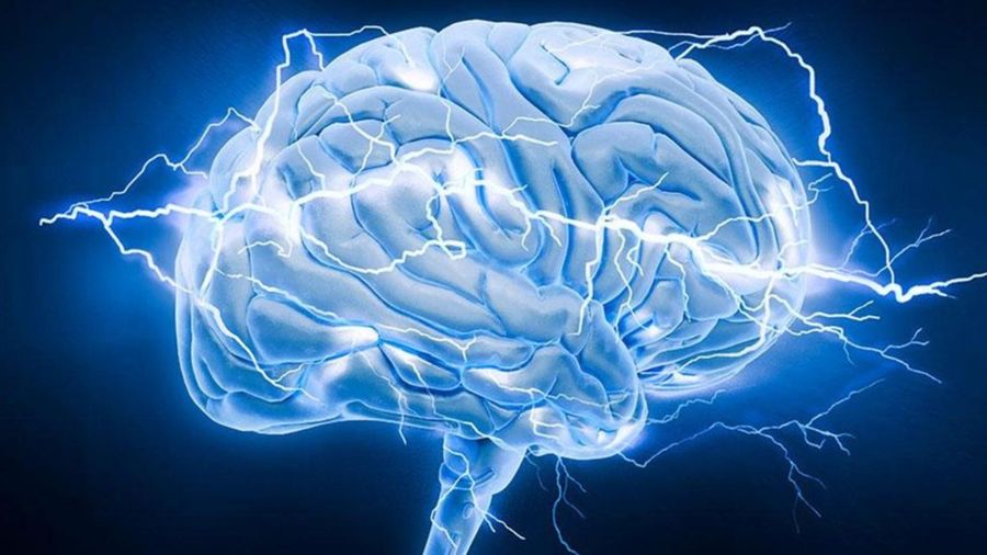 Научная загадка всех времен: почему мы зеваем 5 75b5fb4caf6f7d98c366556711914d80