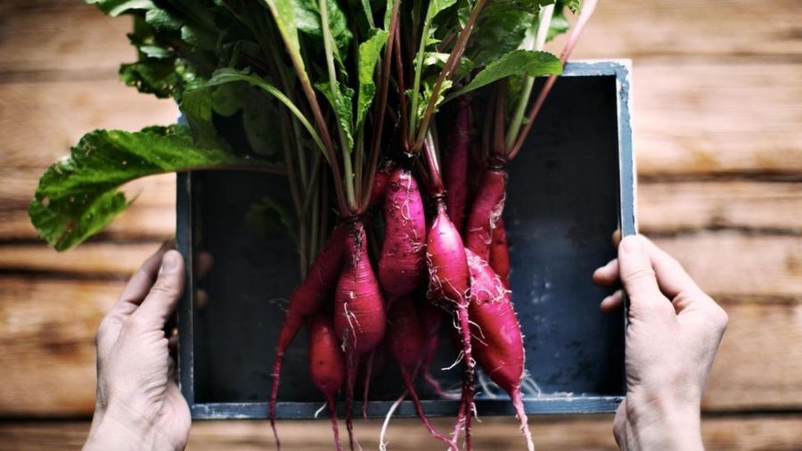 Нитраты в еде могут быть полезными, но при одном условии 5 a02c7e3c11335a379fcbf0e684bf64a1