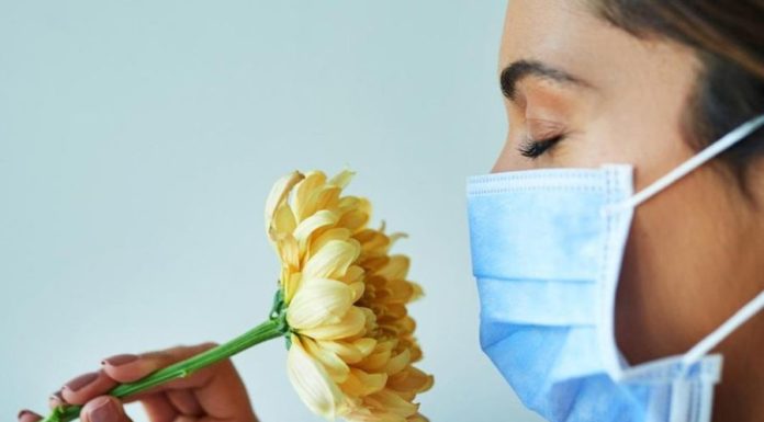 Пять мифов про сезонную аллергию