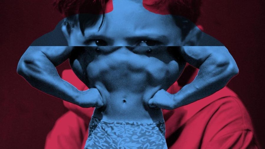 dd0ec7624c1284a8a1be26a4b48501c2