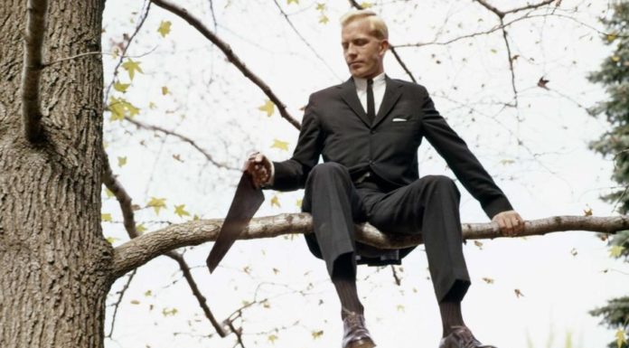 Действительно ли человечество достигло пика интеллекта и стремительно глупеет?