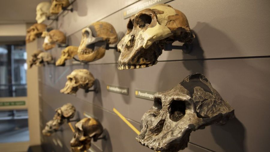 1d99790e85910b82d2e5bb1917ca1c0a