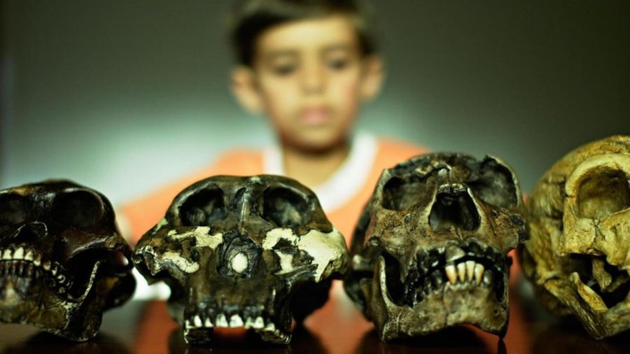 40eec0900bb251a92f10b1100ab321ab