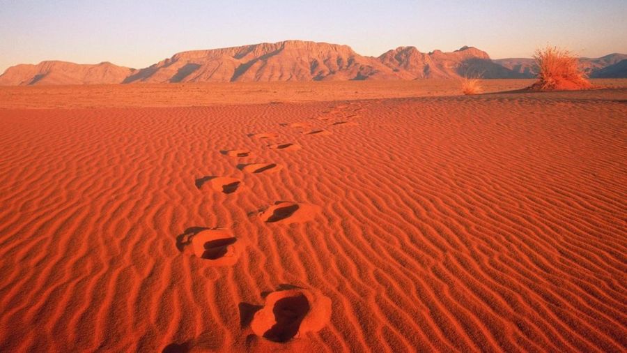 52da2f7ab96e49c637fb425e9d9fc31b