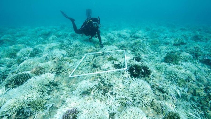 a96f38e1c0a9abd04c5c2e6e3e1863d9