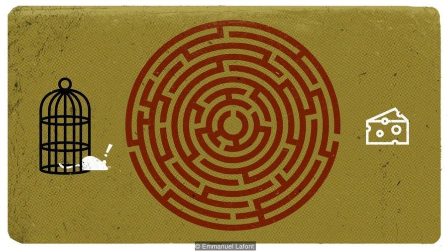 baf324d405f2efd8117c84fe99cd7c1e