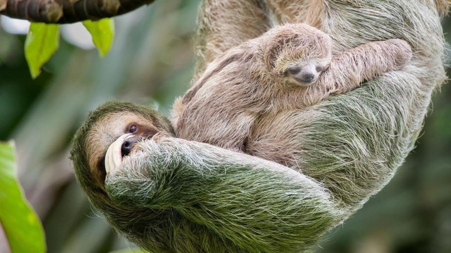 0bb6b9d6d90f8f0495bdba1bbda867ed