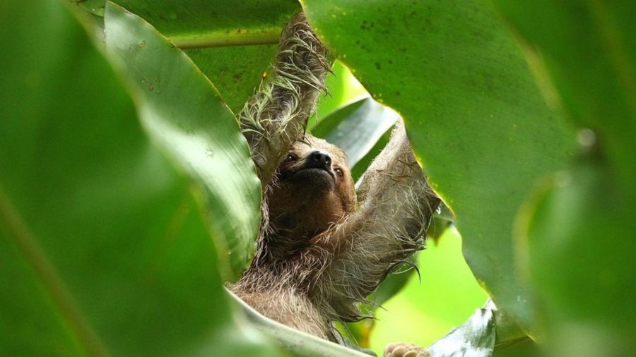 d127432361a004f2e9a8a2a77decf8b3