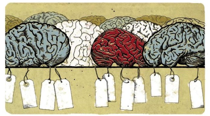Почему «нормального» мозга не существует?