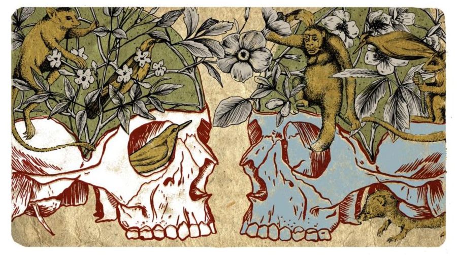 4d9ba37d32543f410d4be8c7c29638e3