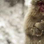 А правильно ли вы грієтесь? Пять распространенных мифов