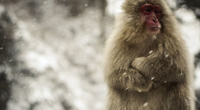 А правильно ли вы грієтесь? Пять распространенных мифов