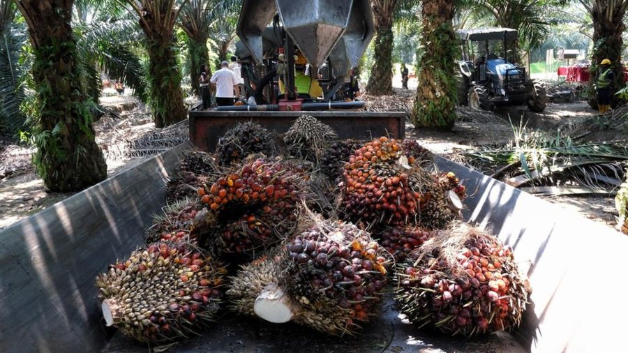 2f40643c21efdca8dd9836180e5331db