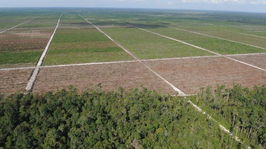 88e131faf56226cc3ce13ad9b53f58cf