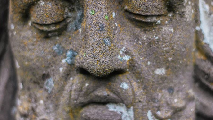 8fe01a3b8746ad180805a3ffaed41d49