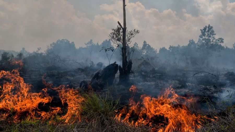 9527010619feaf47e47e89e2c83fde38