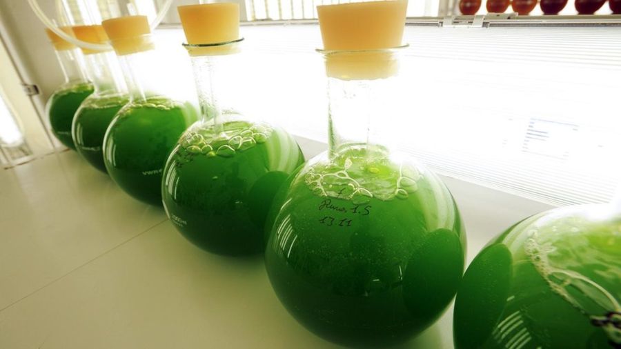 b779aed96d65f52dec672483b4a549ff