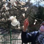 Коронавирус: пойдет пандемия на спад, когда потеплеет?