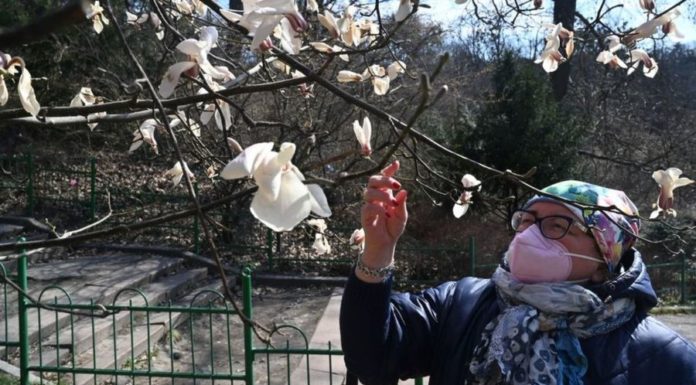 Коронавирус: пойдет пандемия на спад, когда потеплеет?