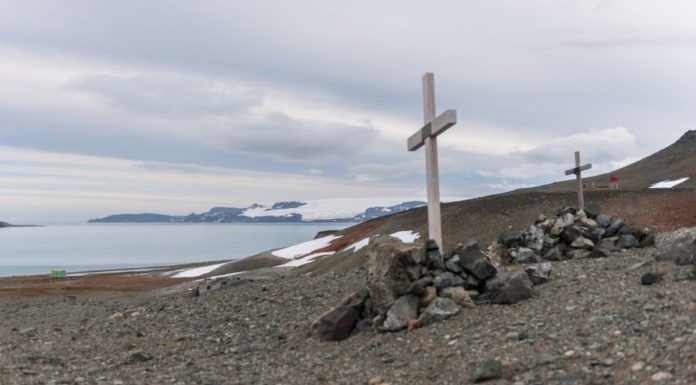 Ледовый кладбище: истории мертвецов Антарктики