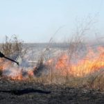 Как подготовиться к стихийному бедствию. Опыт США для Украины