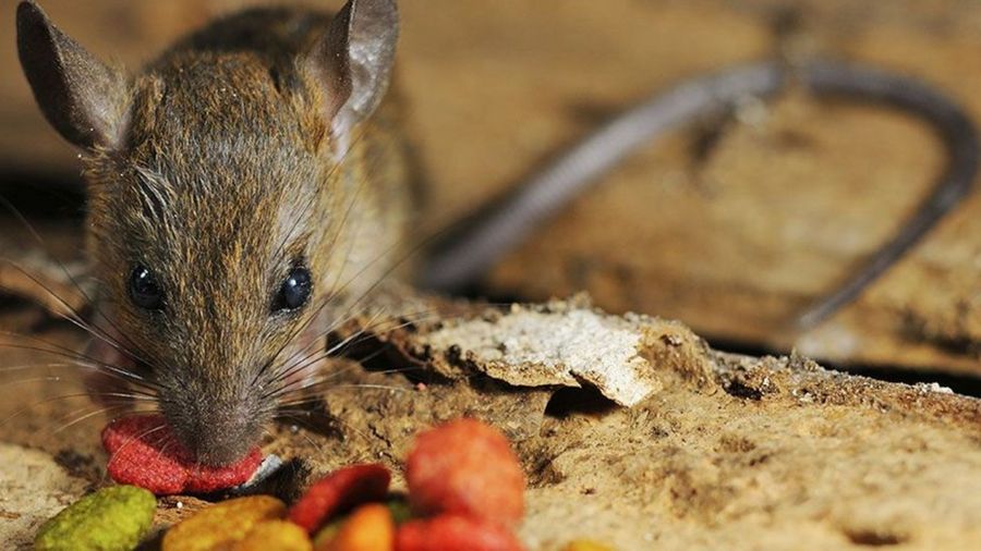 1567b7b324e519e4986c5717652d4e7d