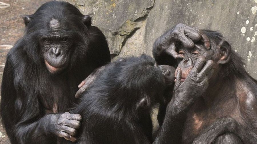 5b30172ed462b82f0d90bd369e61c437