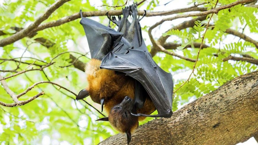 f6ef24cbe0b1264a754ac1799ebd6592