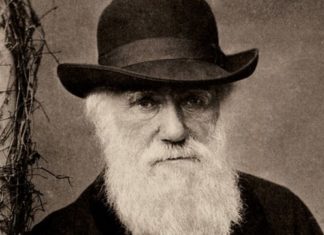 В Кембридже не могут найти бесценные записные книжки Дарвина, загадочно исчезли