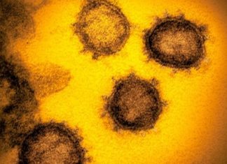 Коронавирус: ученые нашли гены, от которых зависит тяжесть болезни